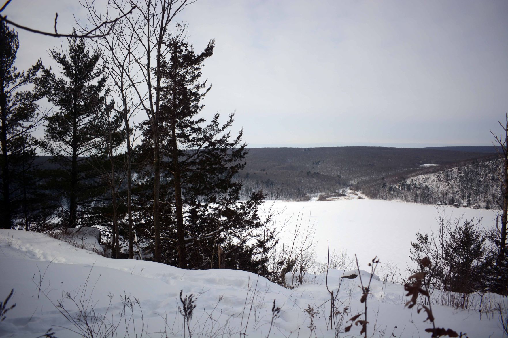 Devil's Lake east bluff stewardship work